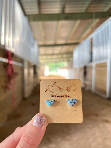 Rodeo velvet studs